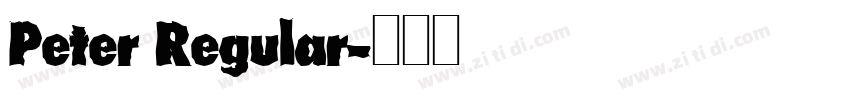 Peter Regular字体转换